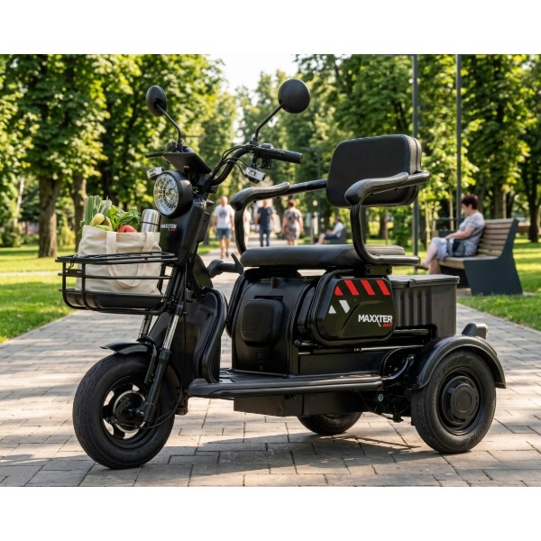 Фото - Электроскутер Maxxter ANT Black